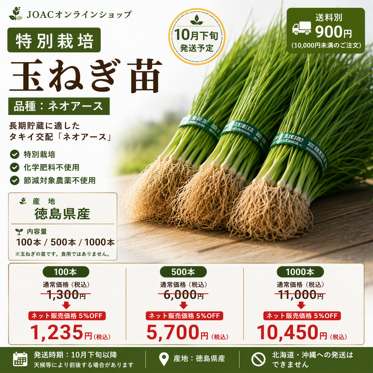 特別栽培ネオアース玉ねぎ苗 500本