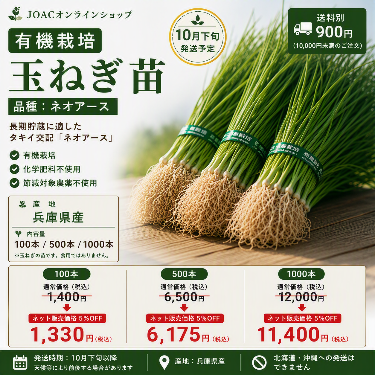 有機栽培ネオアース玉ねぎ苗 500本